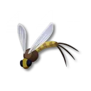 蜉蝣