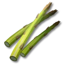 蘆筍