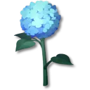 藍色繡球花