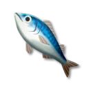 鯖魚