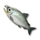 鮭魚