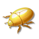 黃金金龜子
