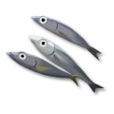 雜魚