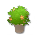 感覺型花盆裝飾箱