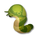 幼蟲