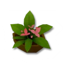 優秀花盆裝飾箱
