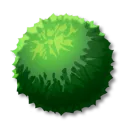 苔蘚團