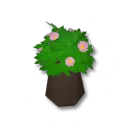 樸素小花盆裝飾箱